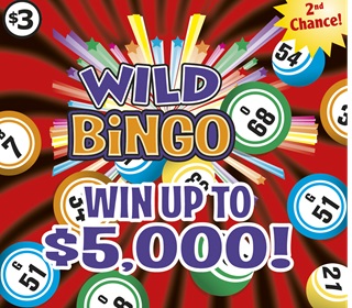 Wild Bingo